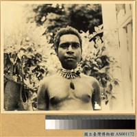 藏品(著頸飾巴布亞男子)的圖片